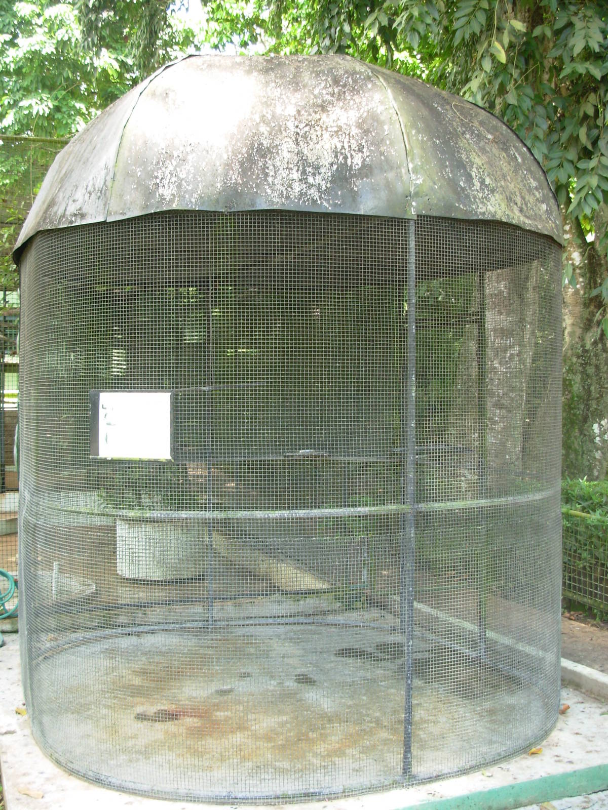 Short Tailed Fruit Bat Cage