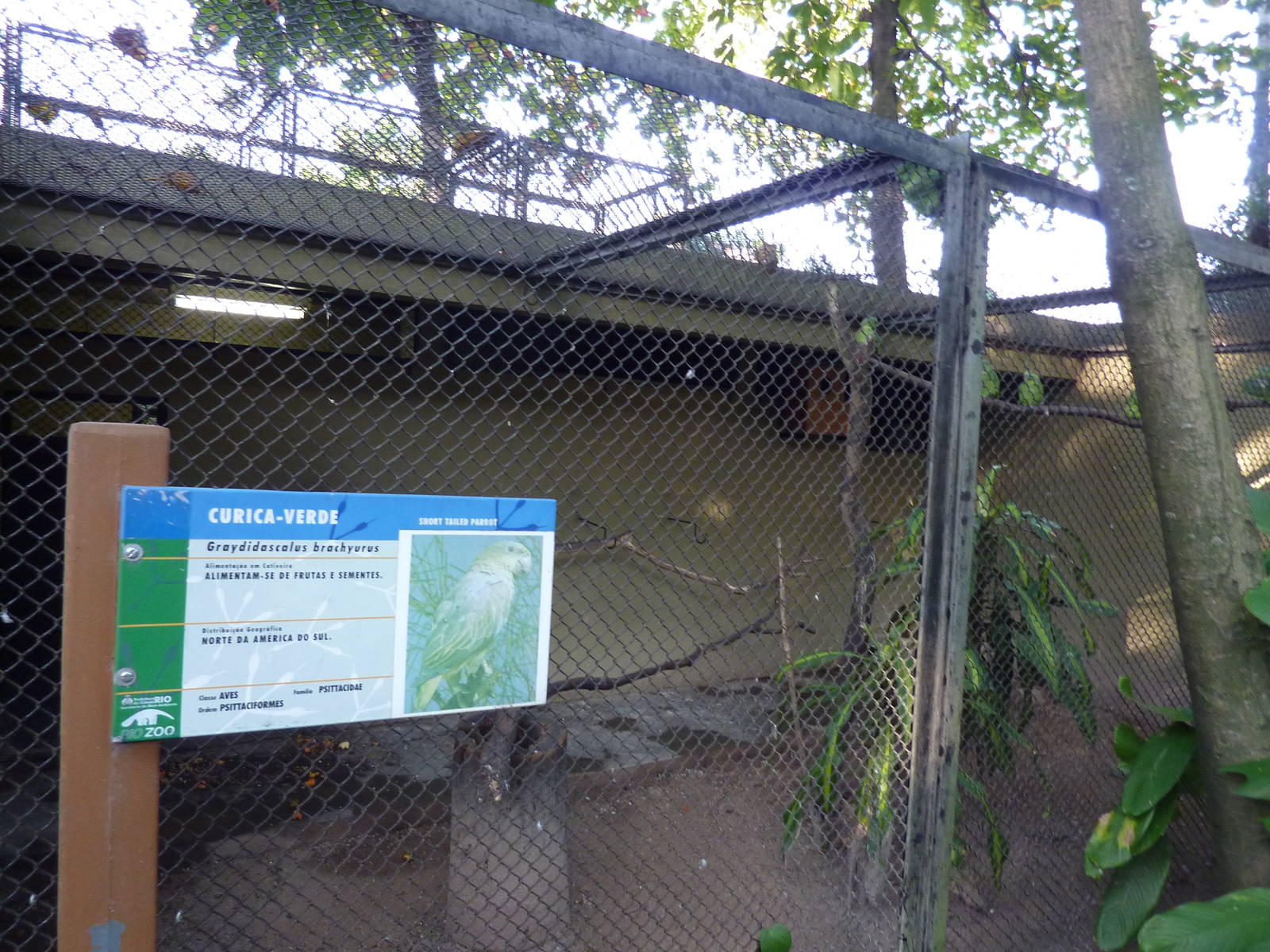 Short-tailed parrot aviary