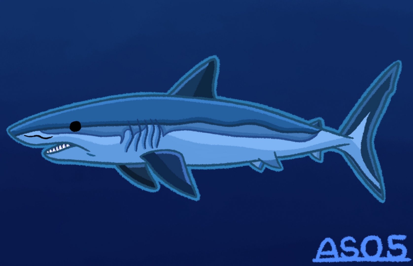 Shortfin Mako Shark (Remastered 2024)