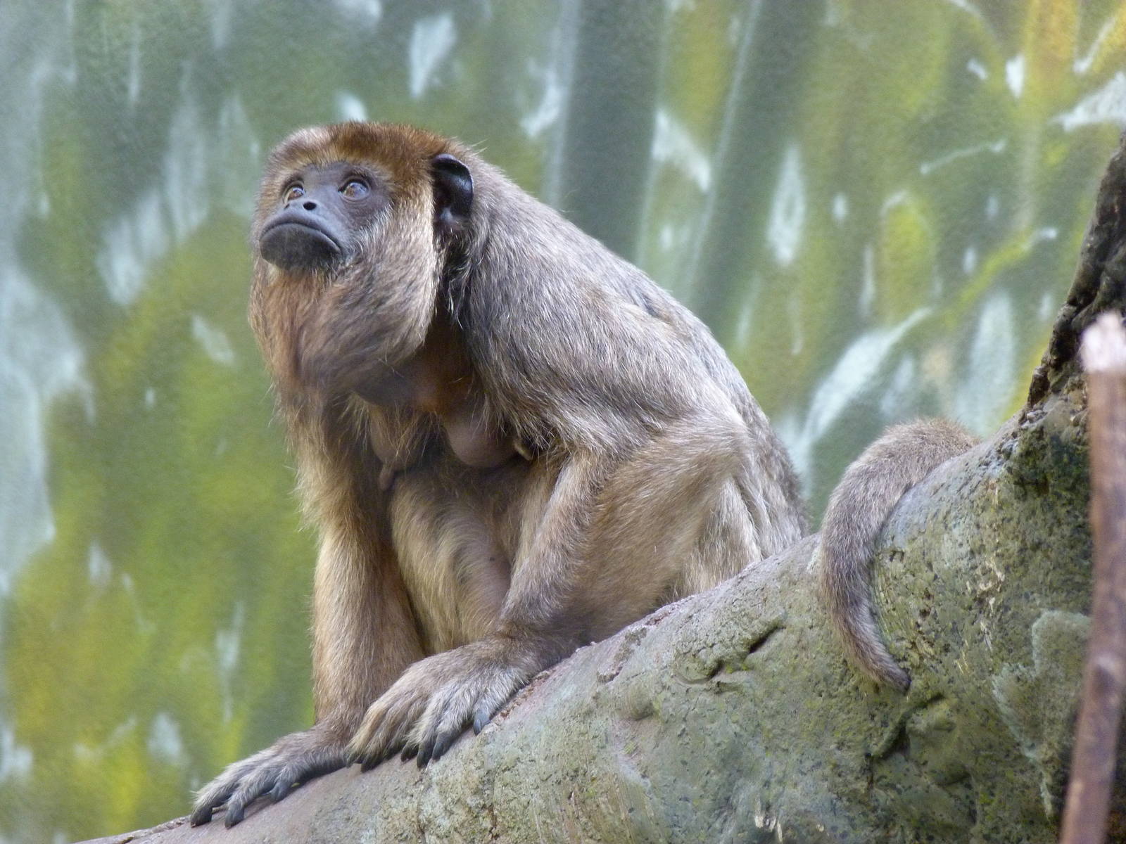 Should I be mature or pounce on the kids?