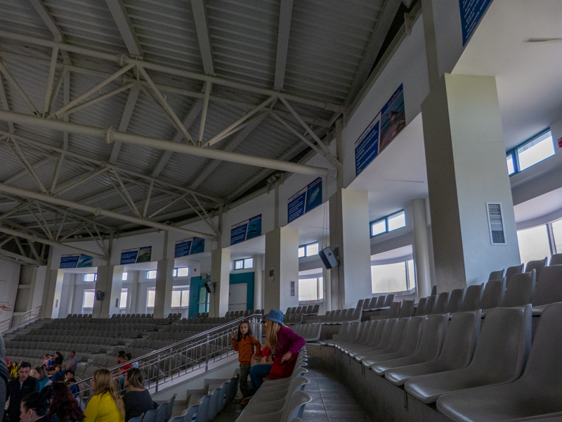 show arena - whale info