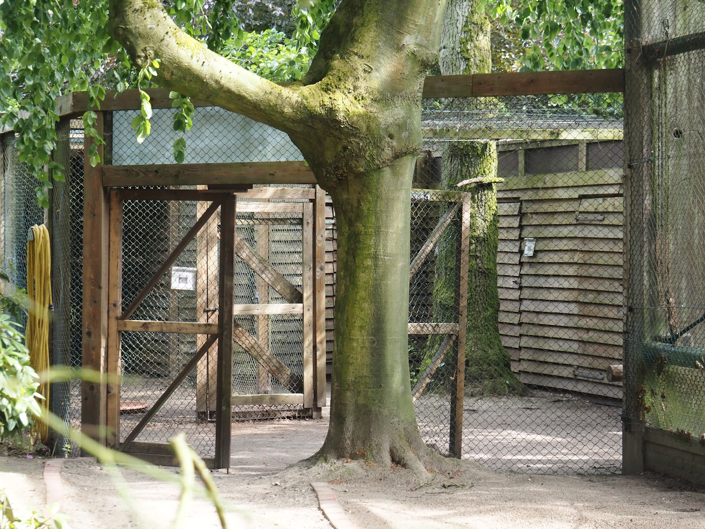Show bird housing area near the Freiflughalle, 2024-05-21
