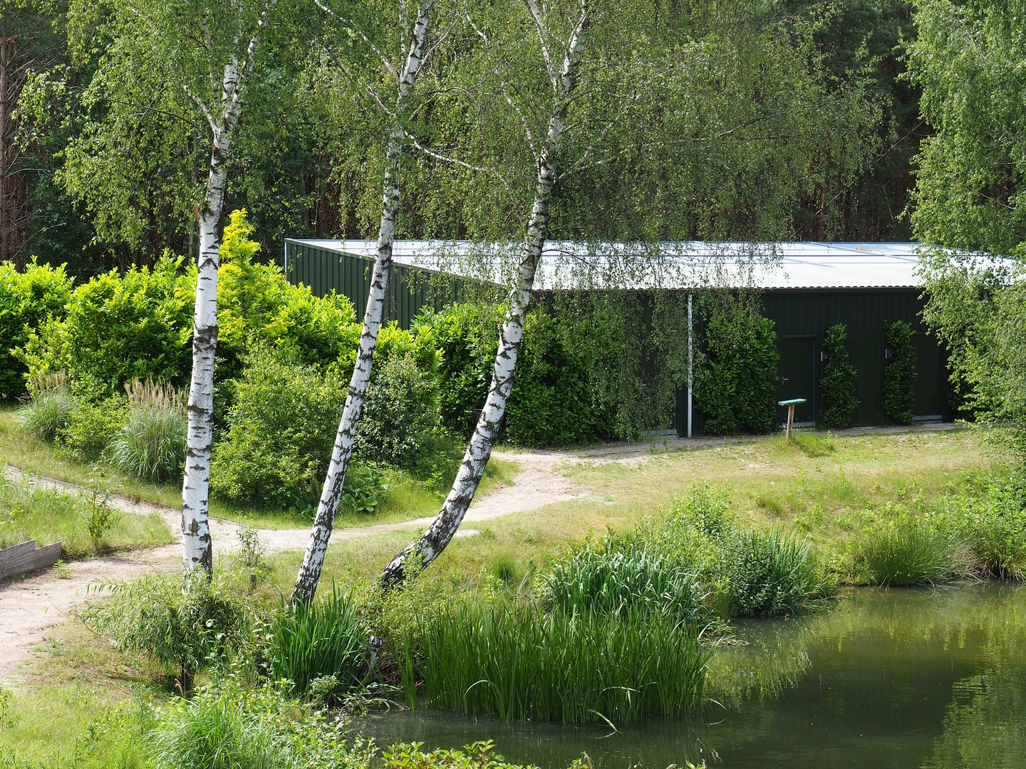 Show bird housing building, 2022-06-12