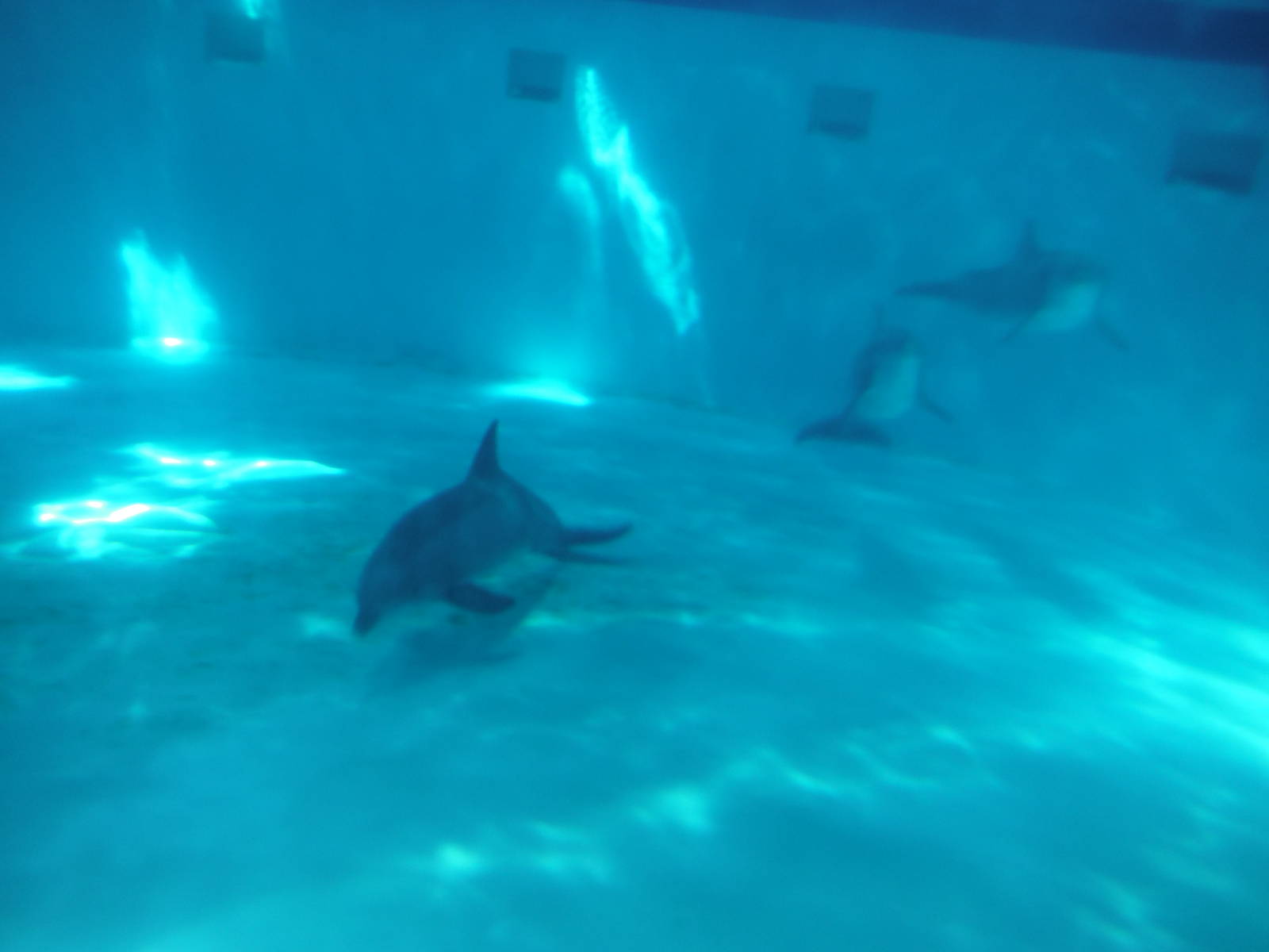 Show Boys underwater.