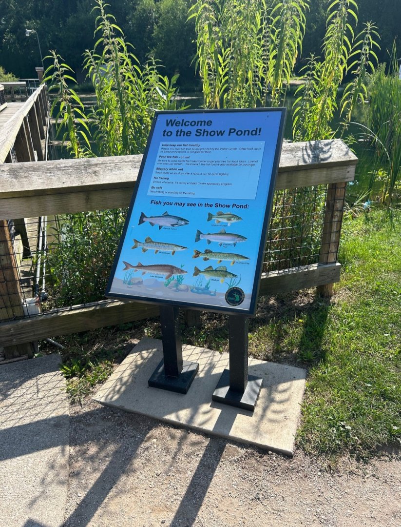 Show Pond Species (Wolf Lake State Fish Hatchery, Mattawan, MI, 8/7/25)