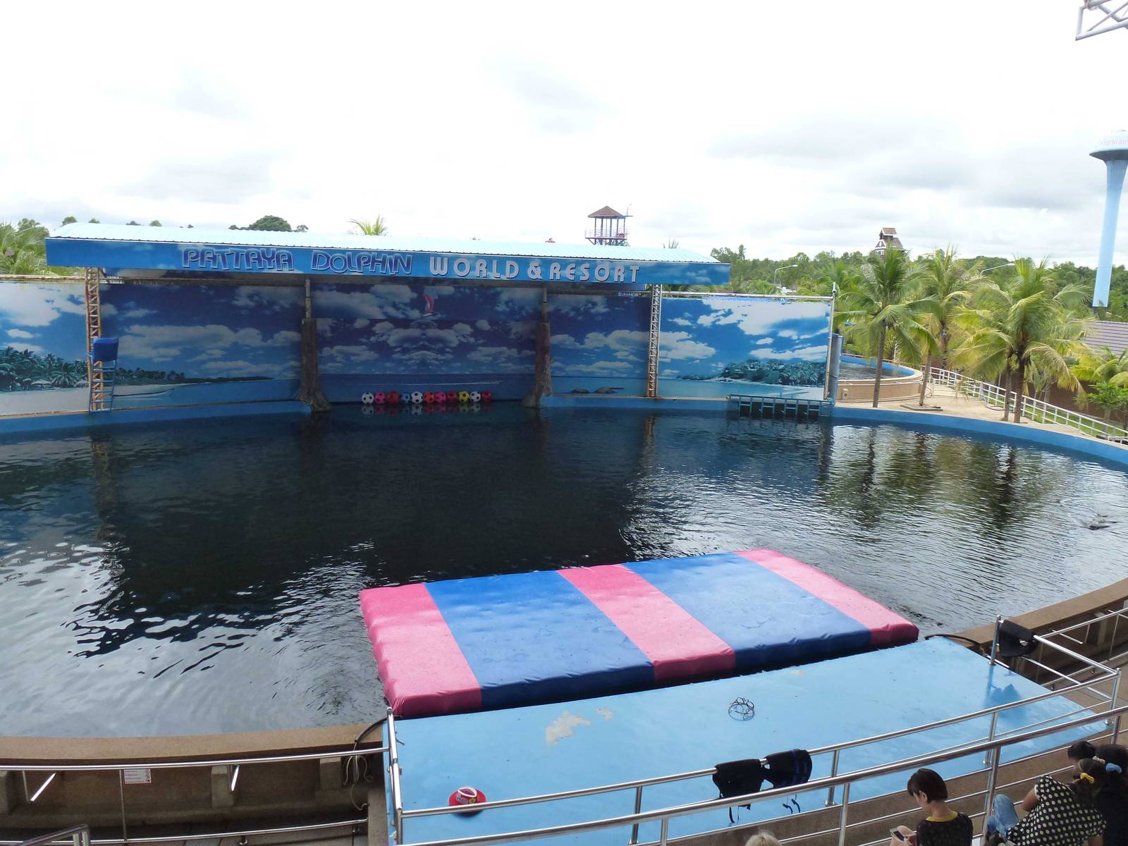 Show pool, June 2013