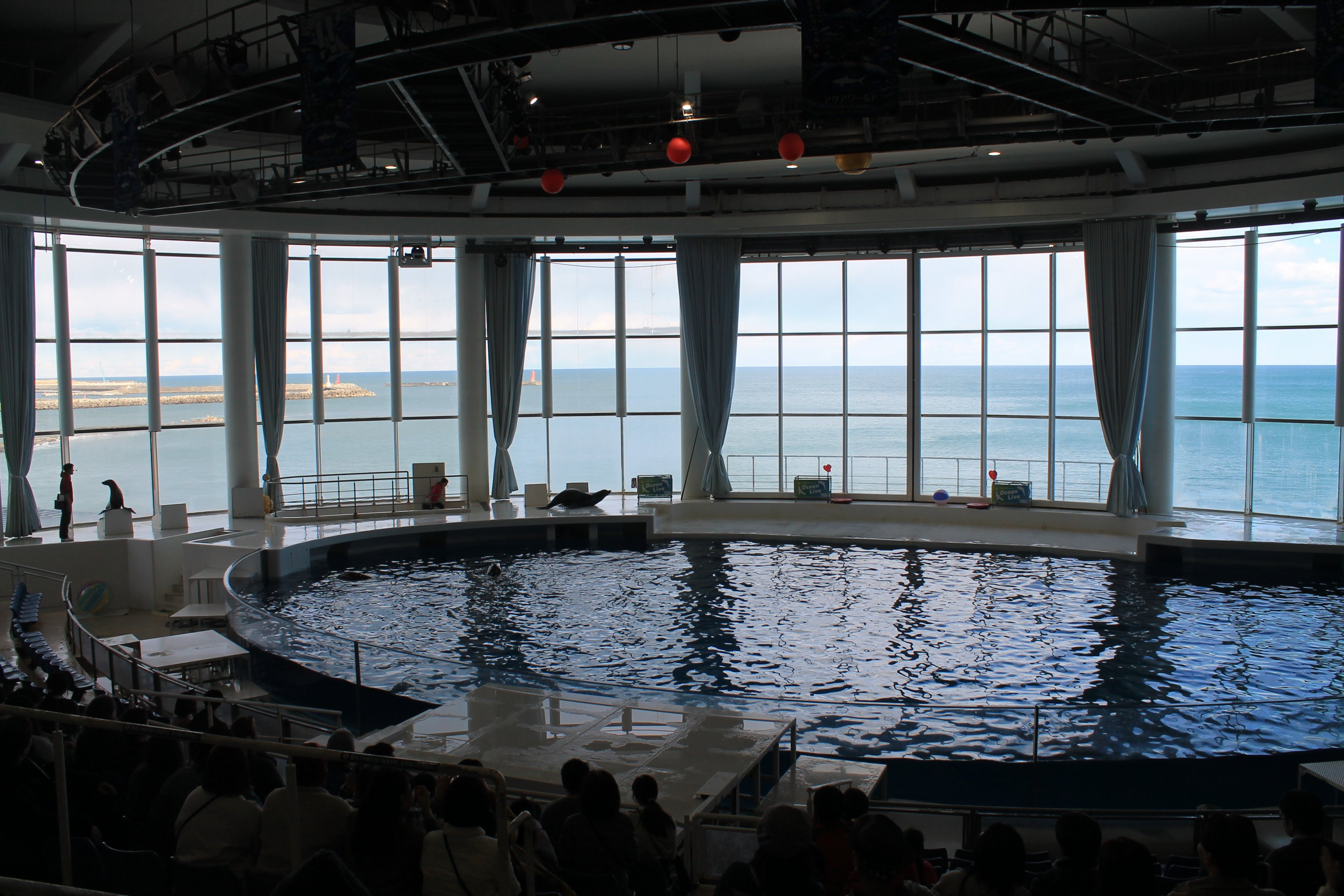 show tank for dolphins and seals