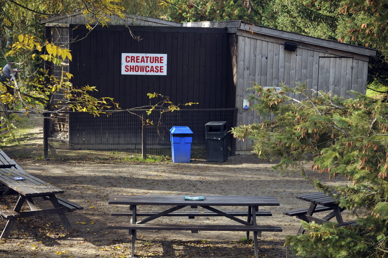 Showarea at Twin Vally Zoo
