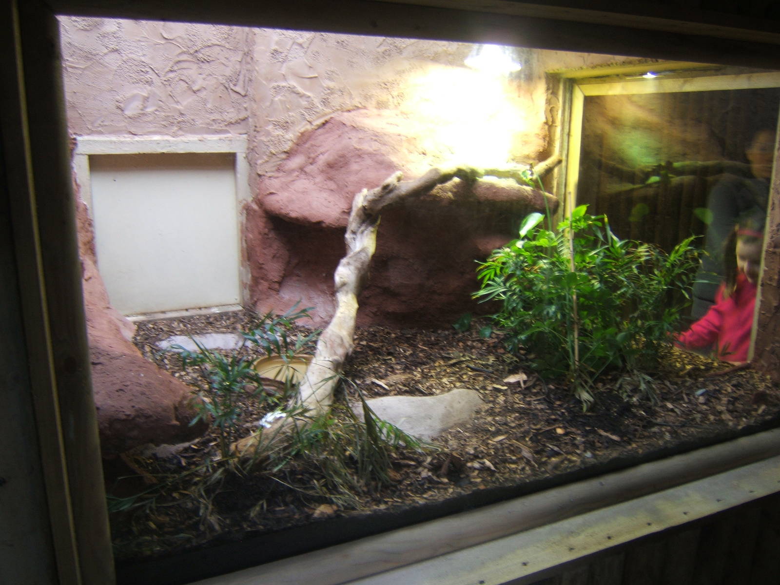 Showing a finished re-furb in the Reptile House