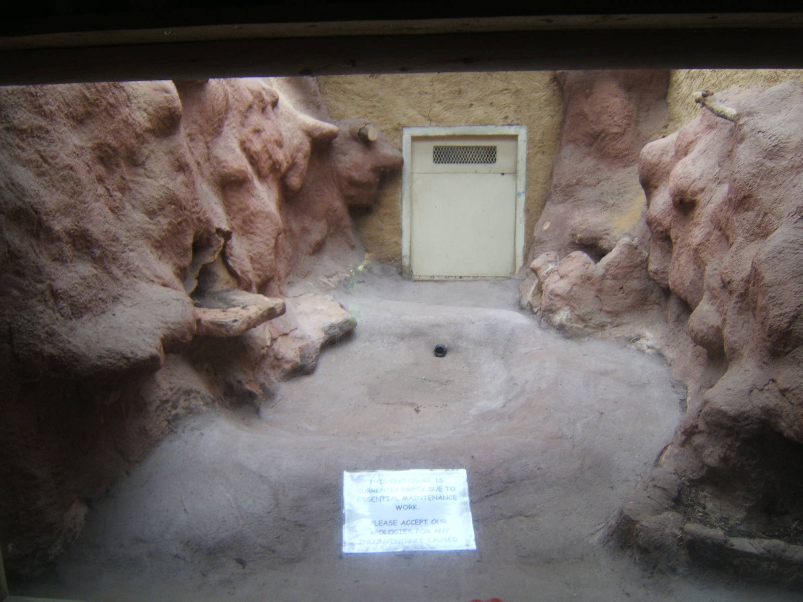 Showing a part finished re-furb in the Reptile House