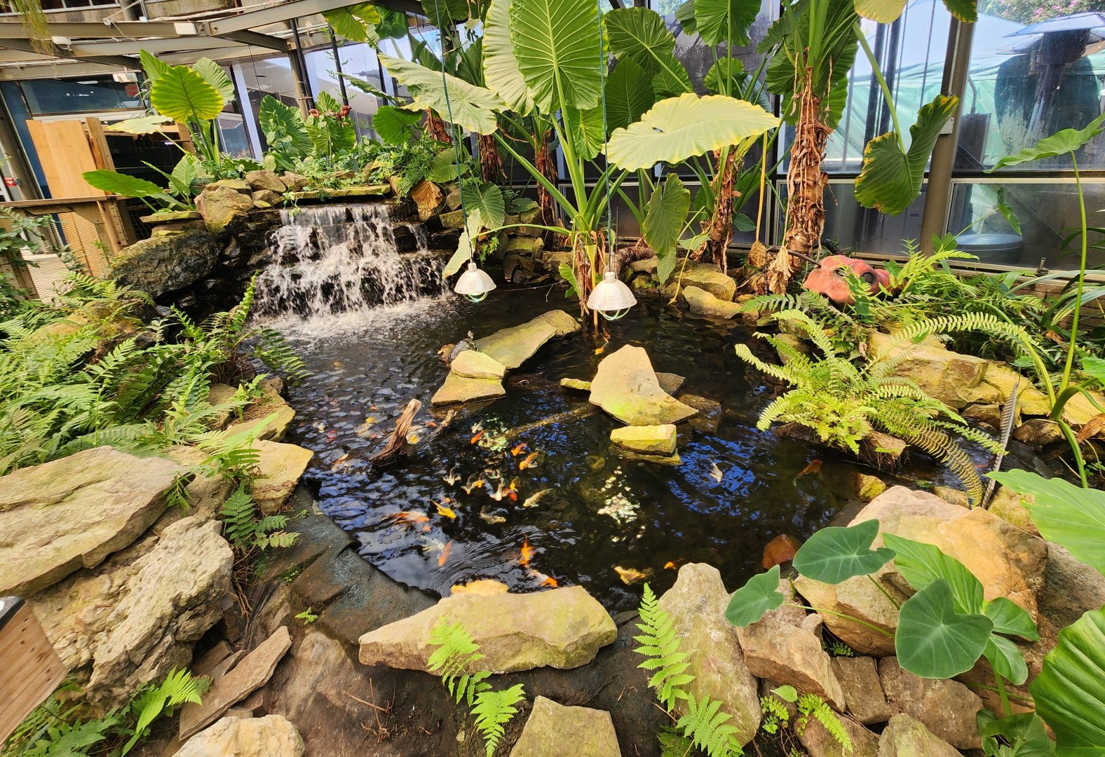 Shreveport Aquarium - Red-eared Slider exhibit