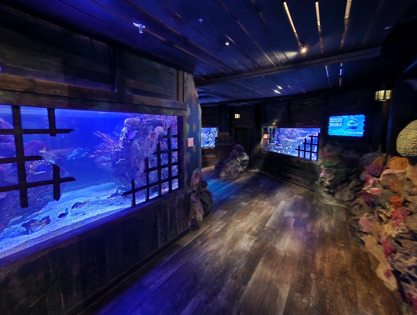 Shreveport Aquarium - Shipwreck exhibit
