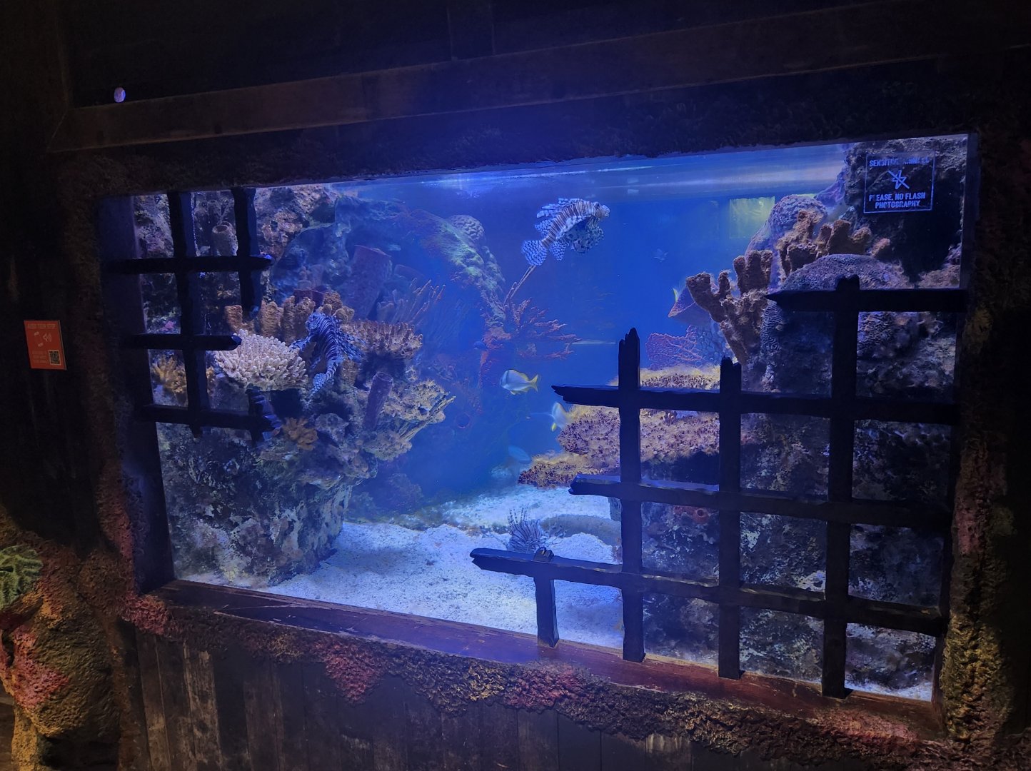 Shreveport Aquarium - Tank