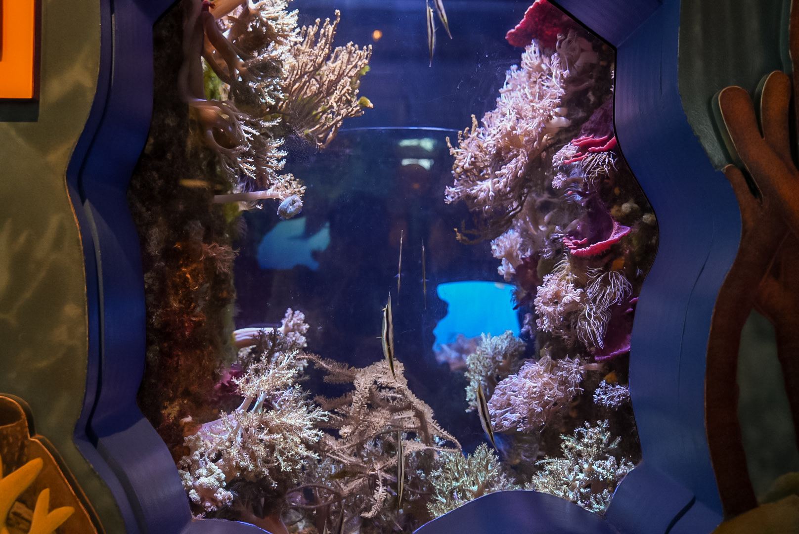 Shrimpfish exhibit (final look)