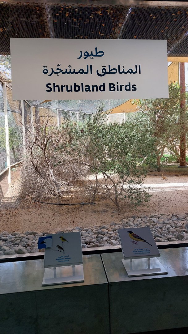 Shrubland Birds aviary