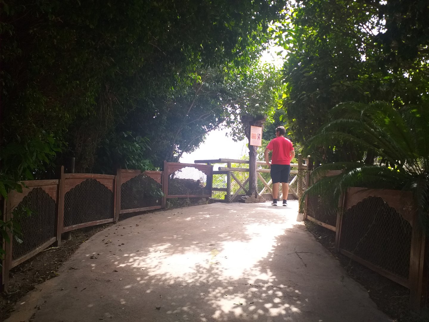 Shusto's bridge -TerraNatura Benidorm (2021)