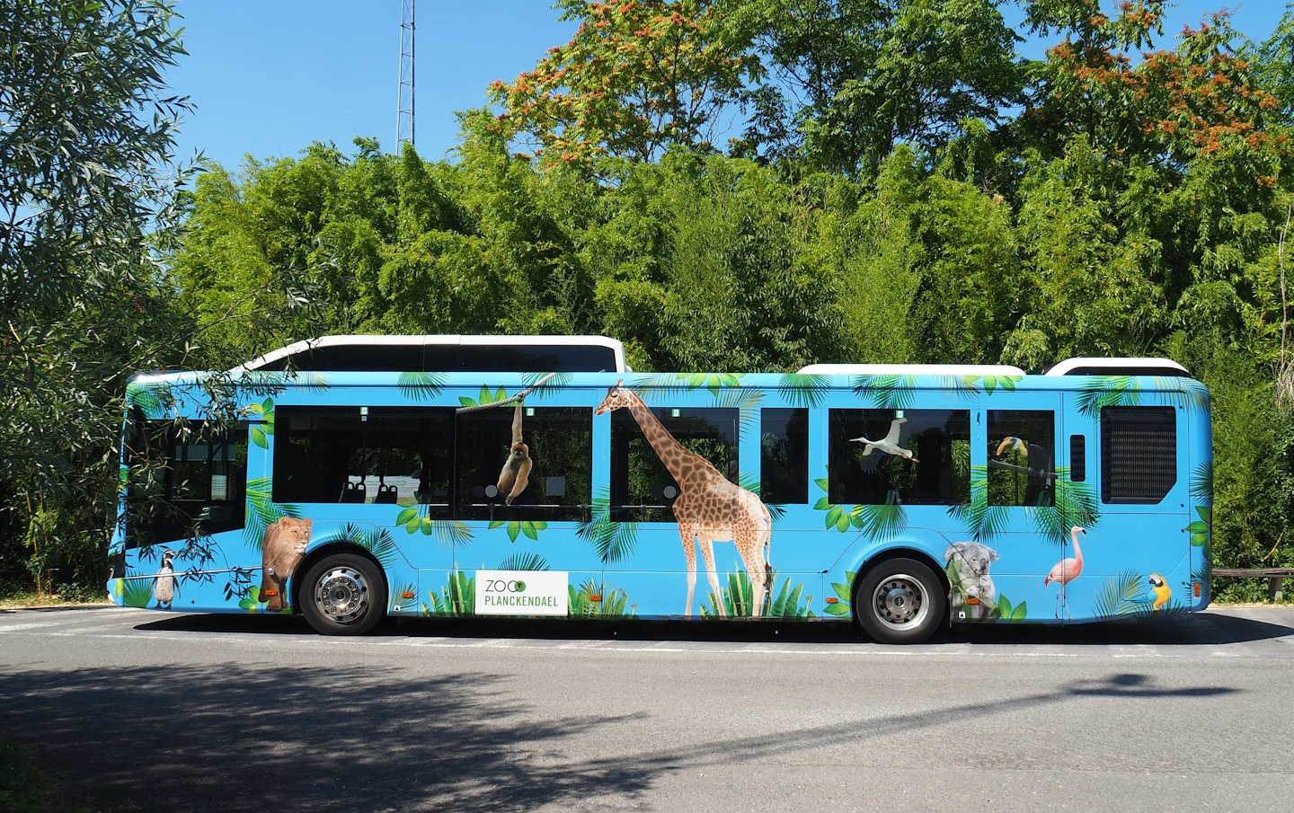 Shuttle bus between Mechelen station and Planckendael, 2023-07-08