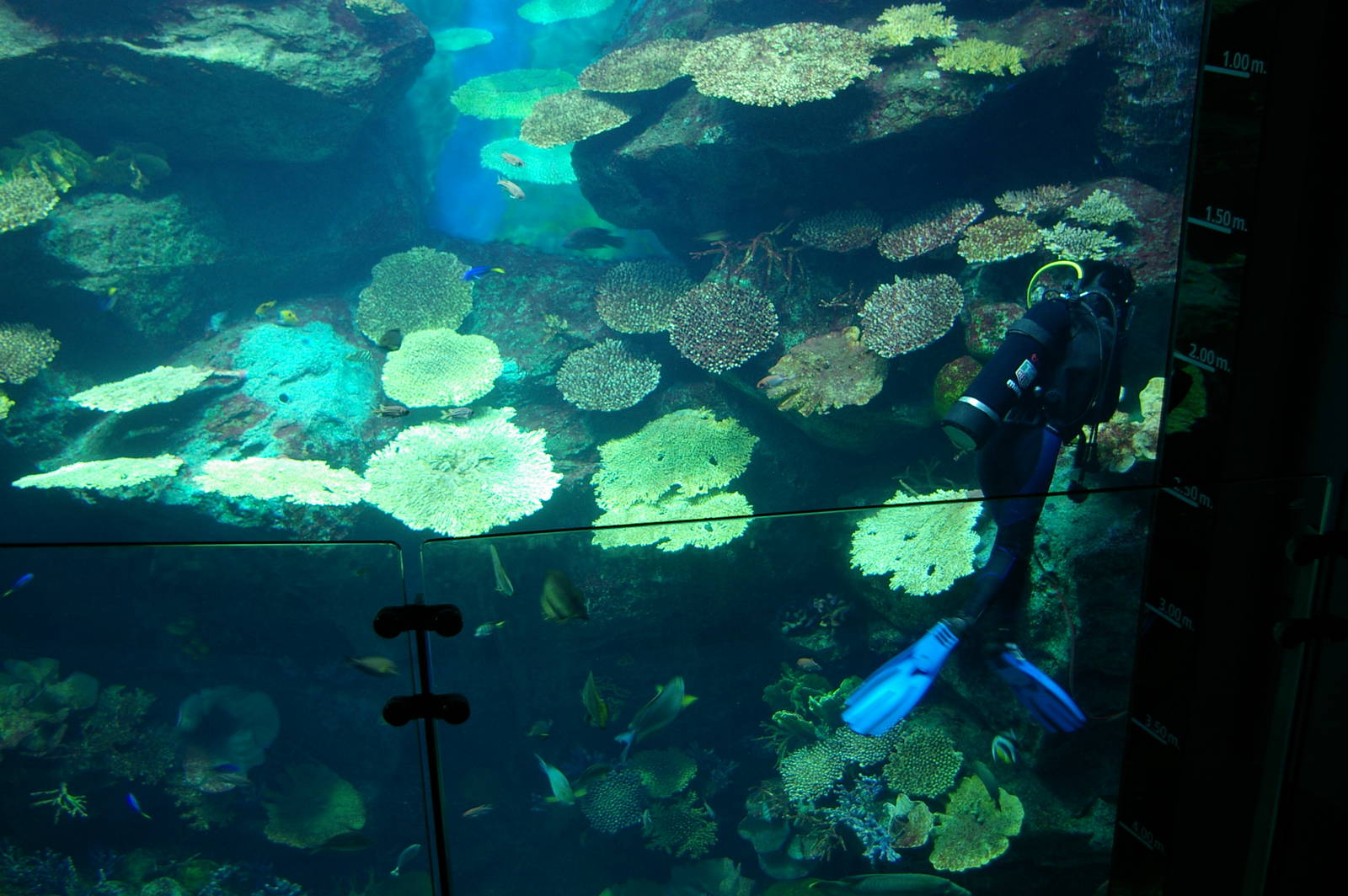 Siam Ocean World, Bangkok