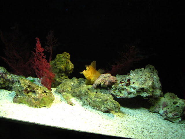 Siam World Ocean 15.01.2013