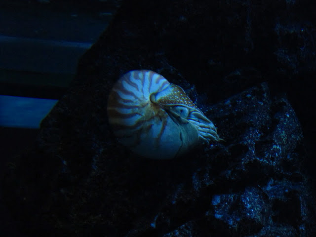 Siam World Ocean 15.01.2013