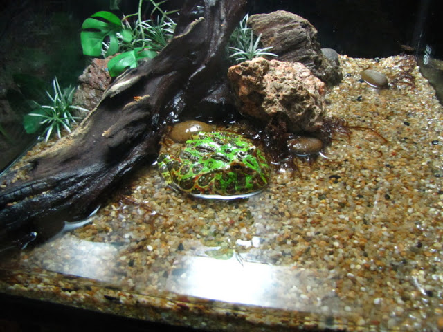 Siam World Ocean 15.01.2013