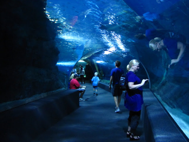 Siam World Ocean 15.01.2013