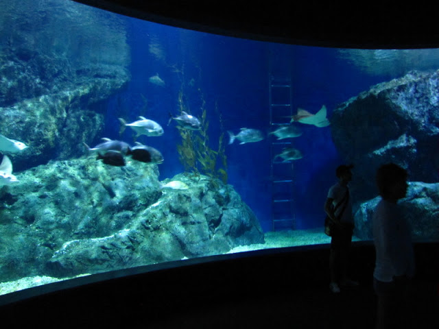 Siam World Ocean 15.01.2013