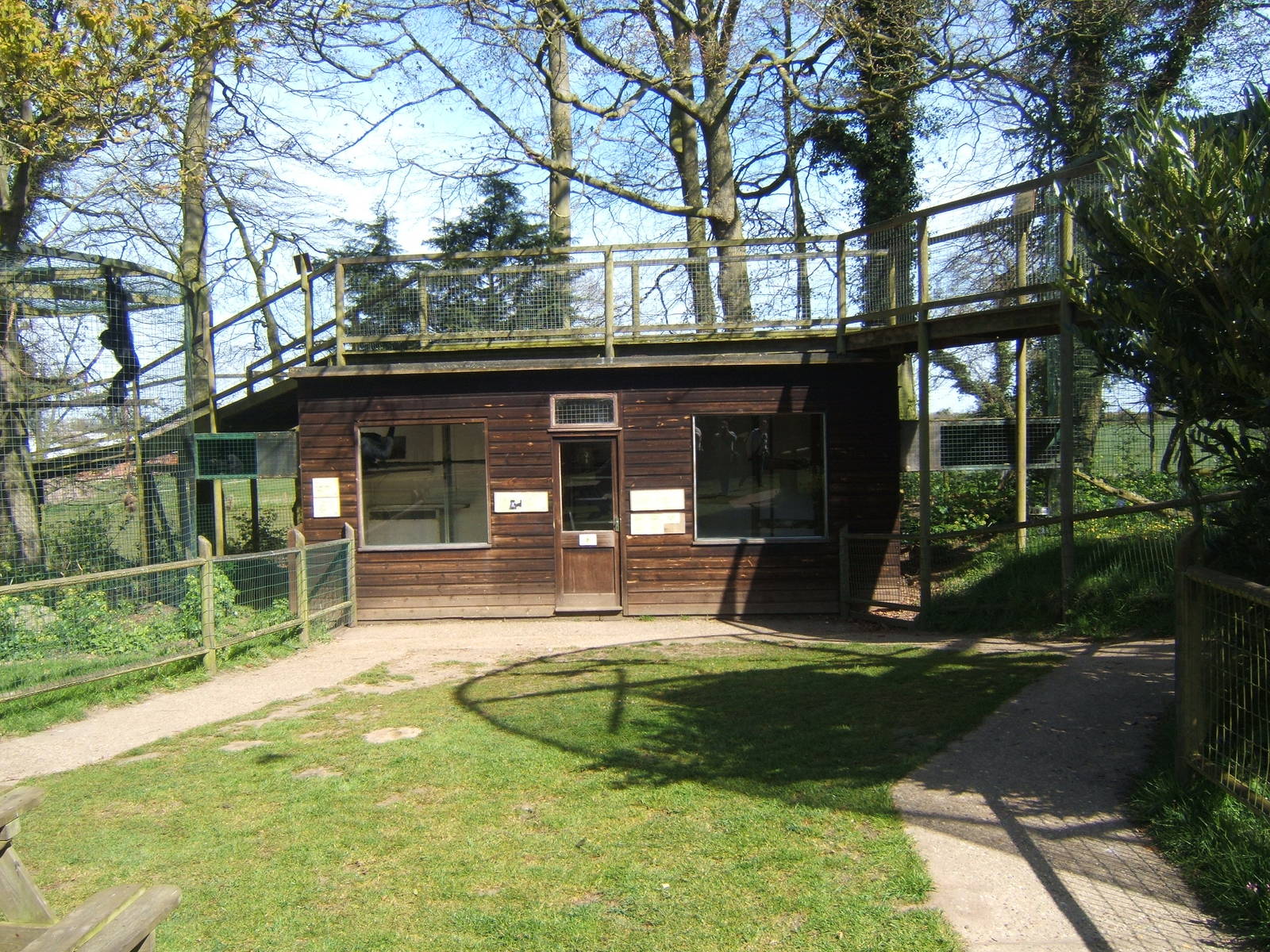 Siamang and Crab-eating Macaque Housing