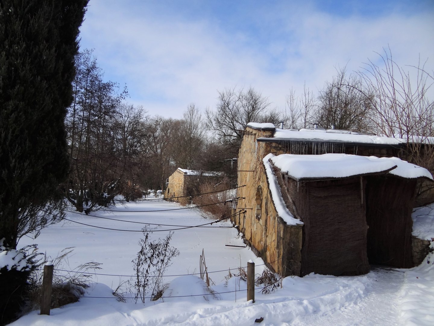 Siamang and gibbon houses