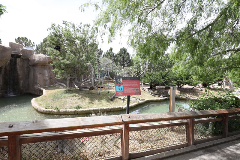 siamang and Malayan tapir exhibit
