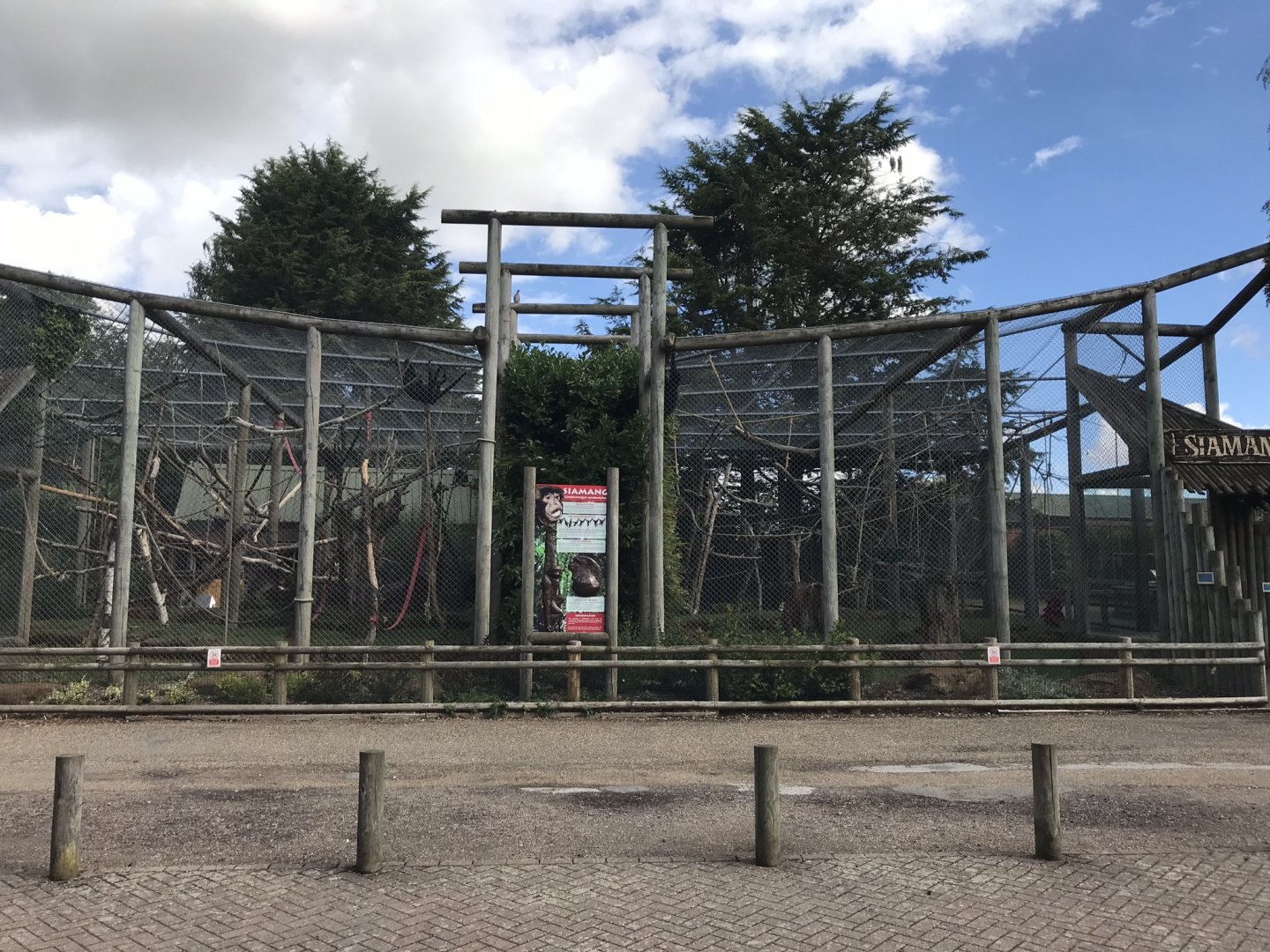 Siamang and spider monkey enclosure 100818