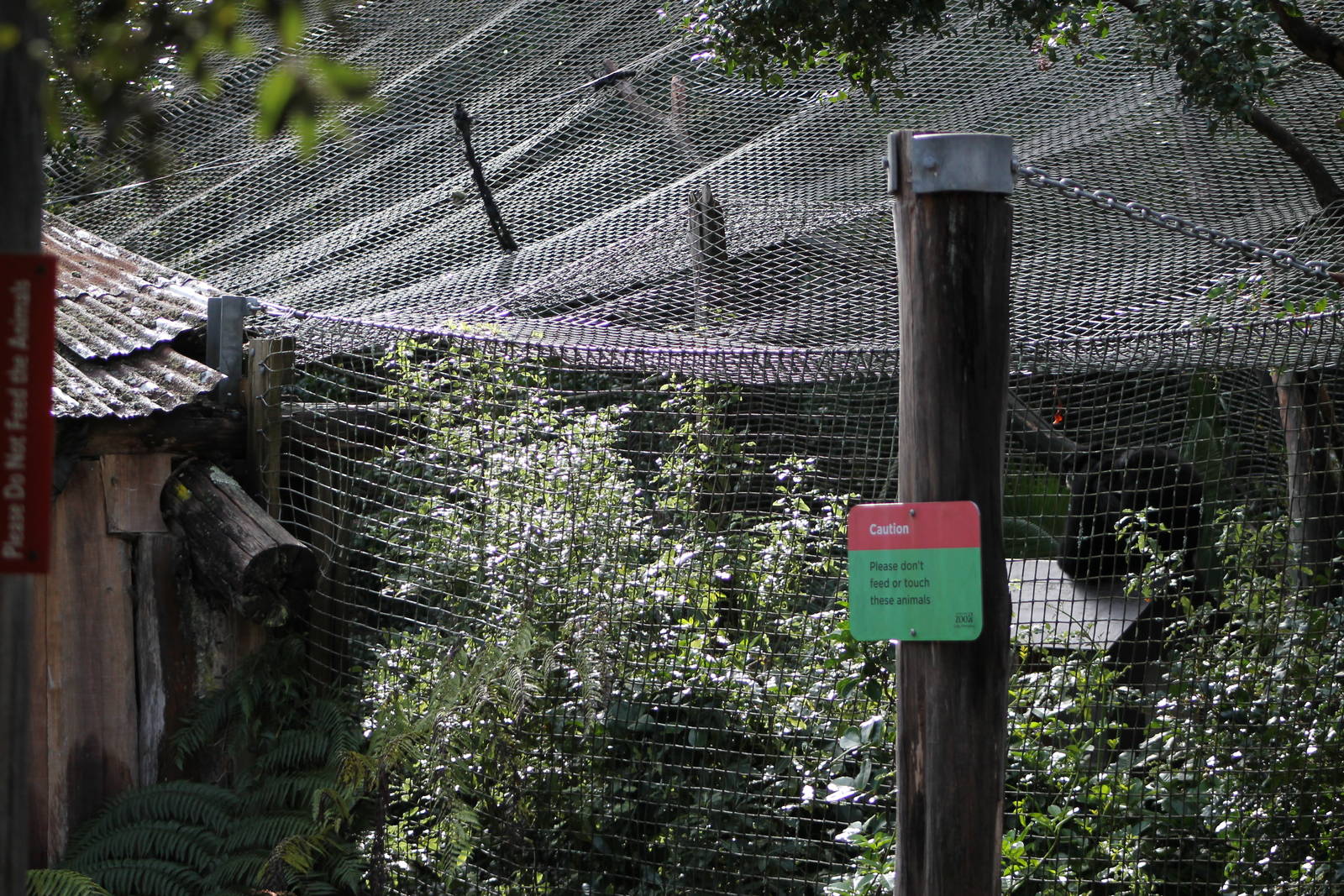 siamang cage