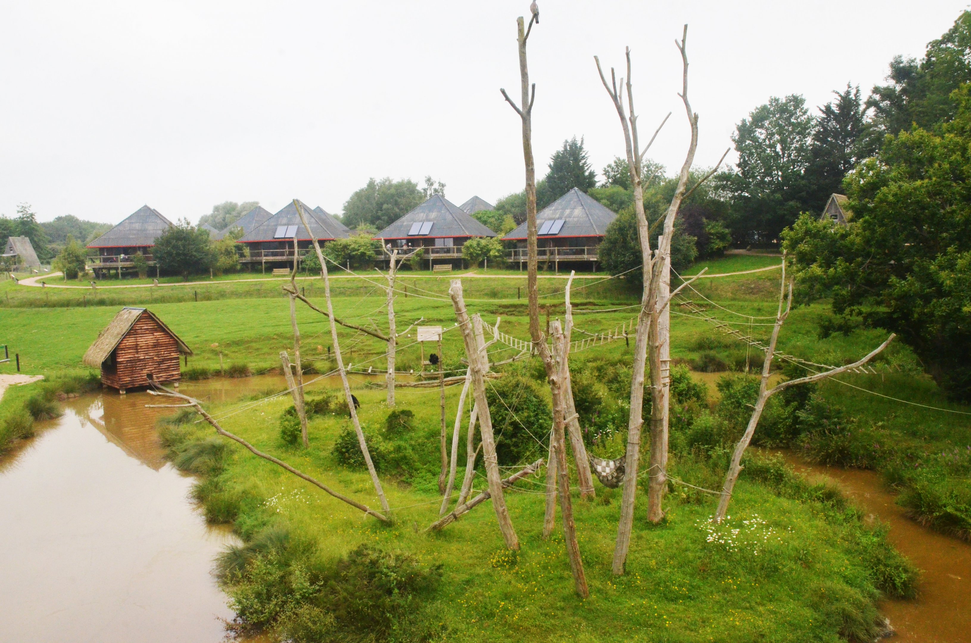 Siamang Enclosure at CERZA, 10/06/18