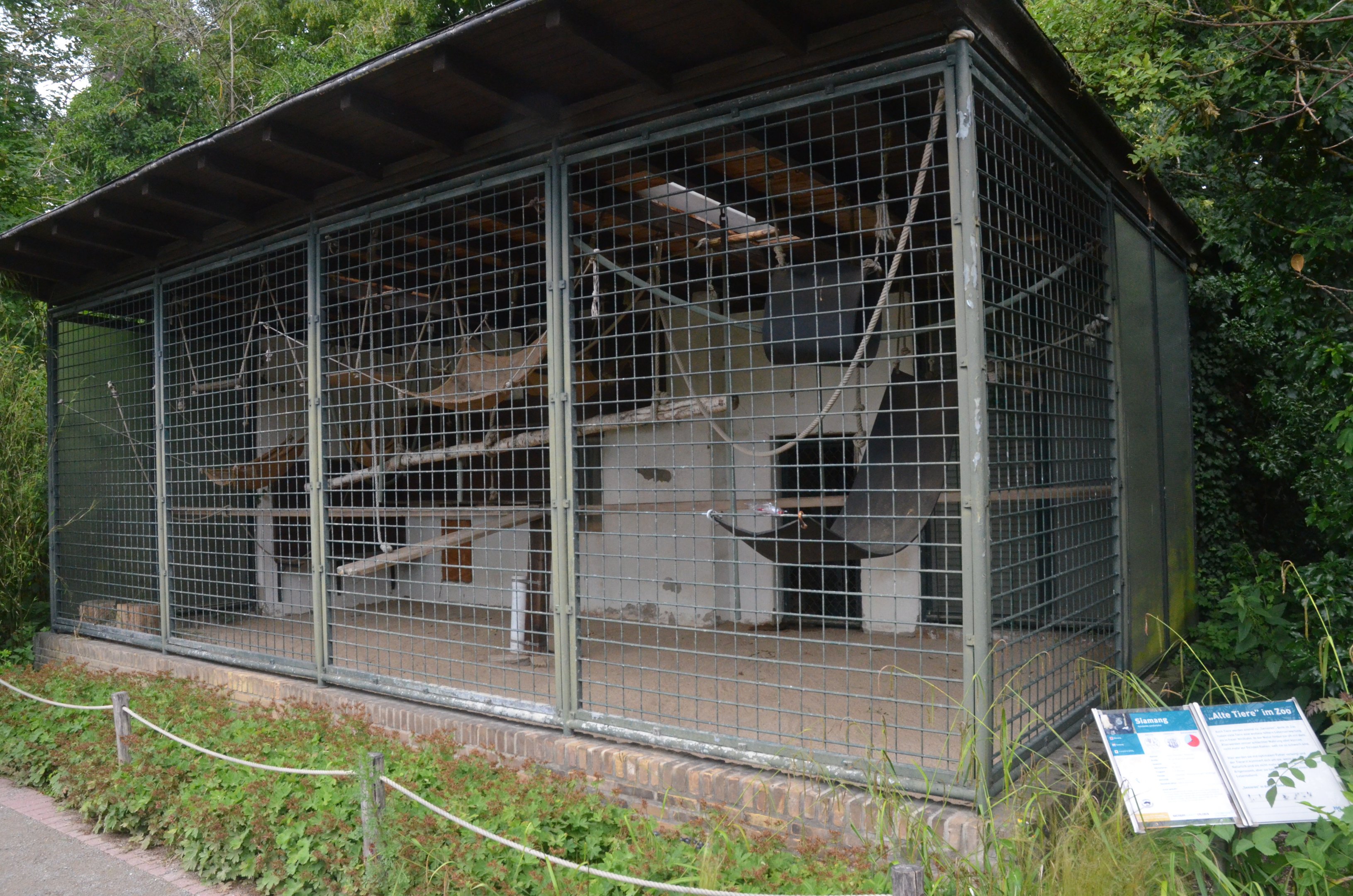Siamang Enclosure at Krefeld, 15/06/19