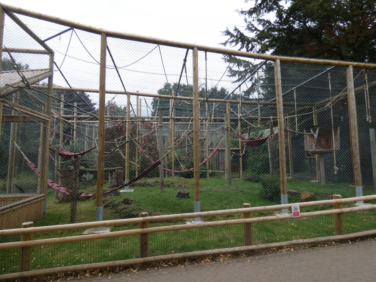 Siamang enclosure from side