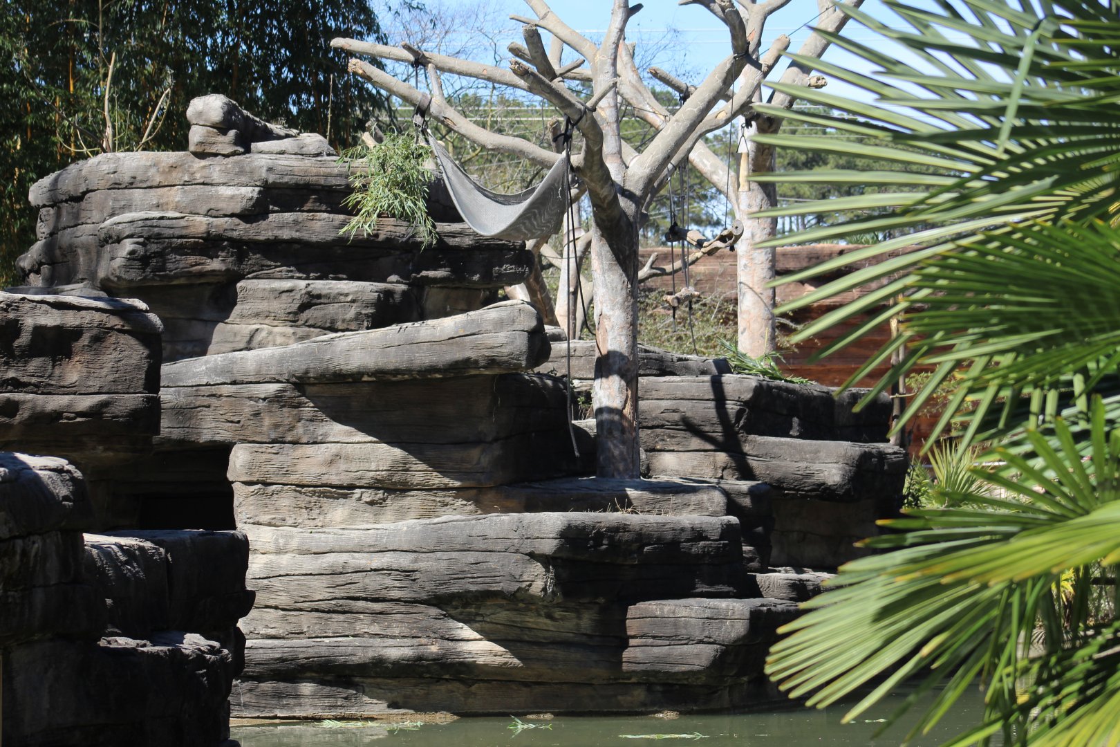 Siamang Enclosure Part 2