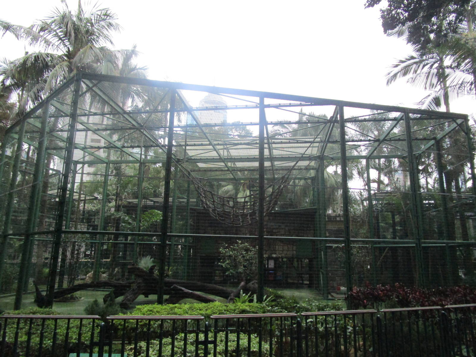 Siamang Enclosure