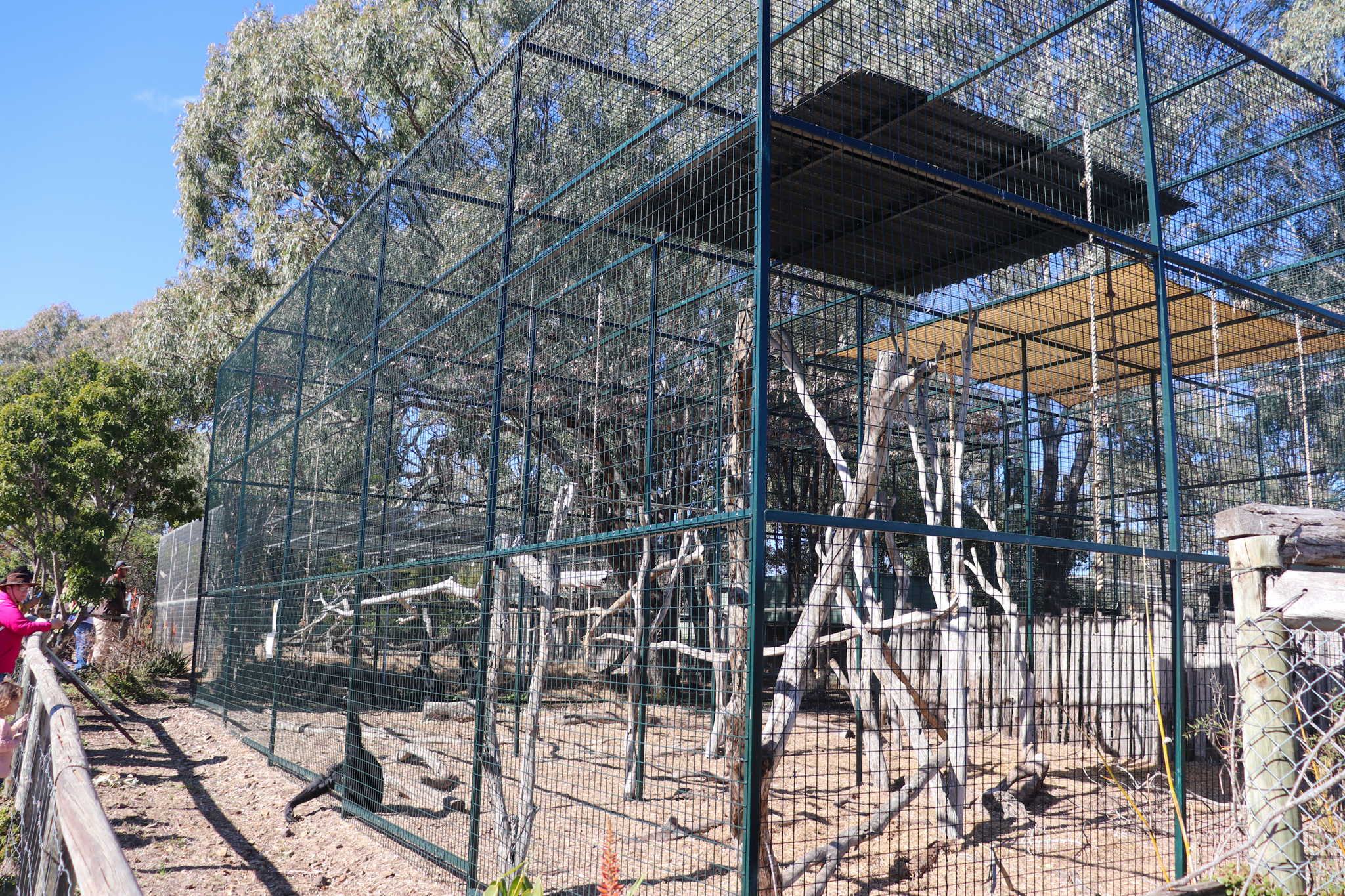 Siamang Enclosure