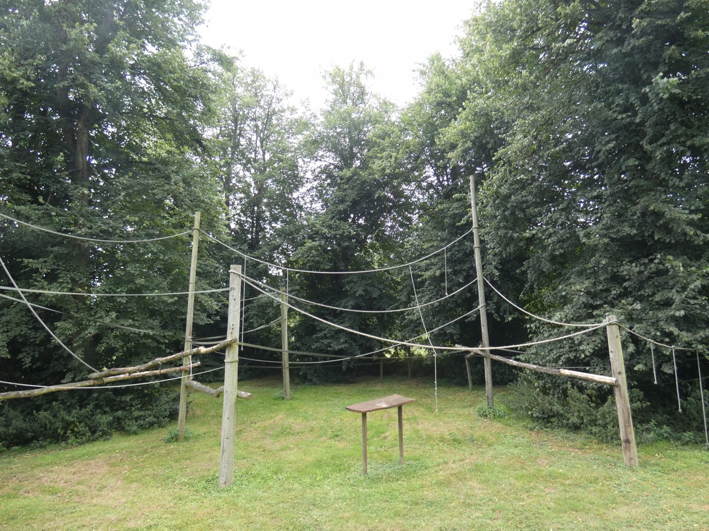 Siamang enclosure