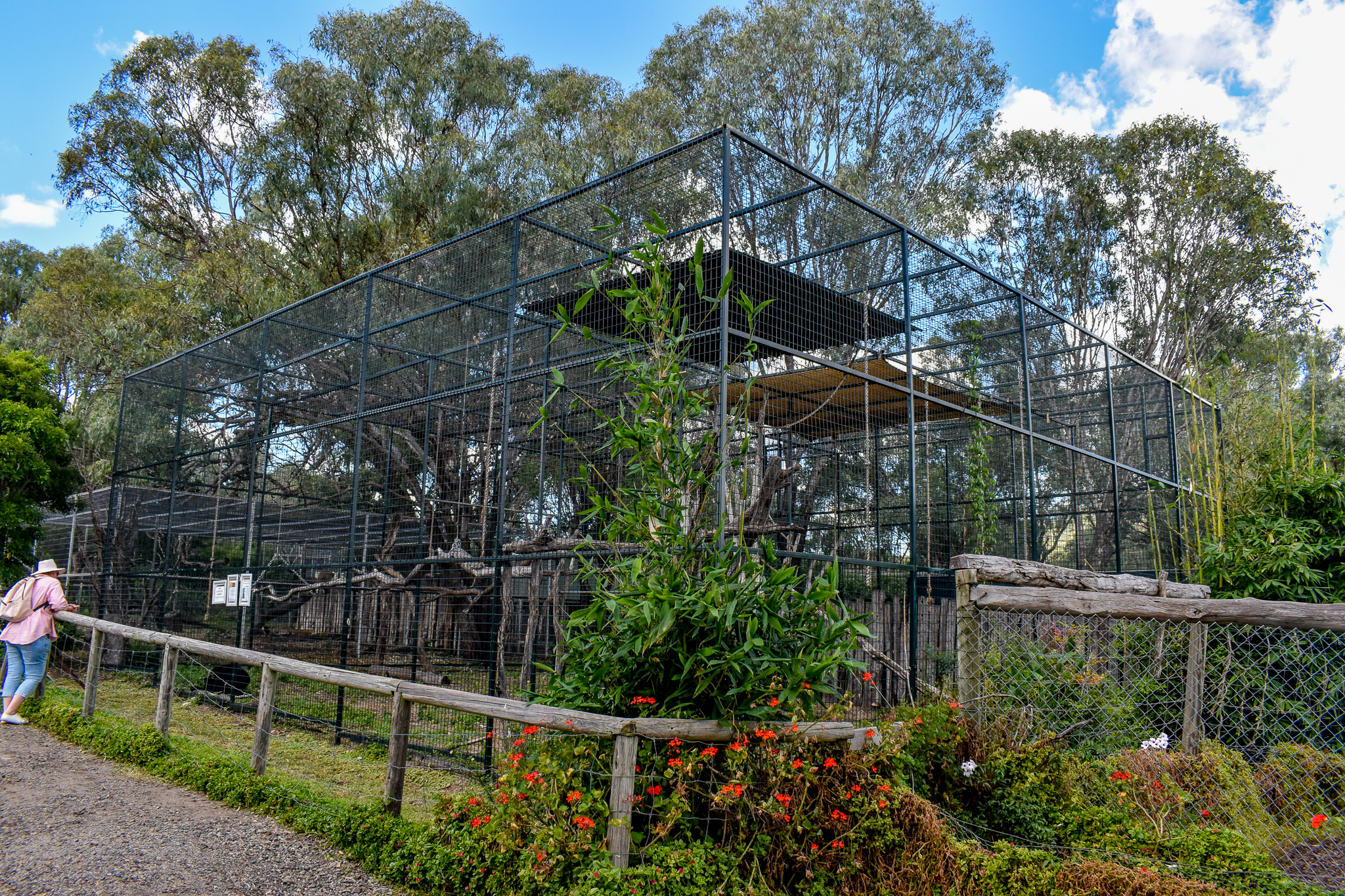 Siamang Enclosure