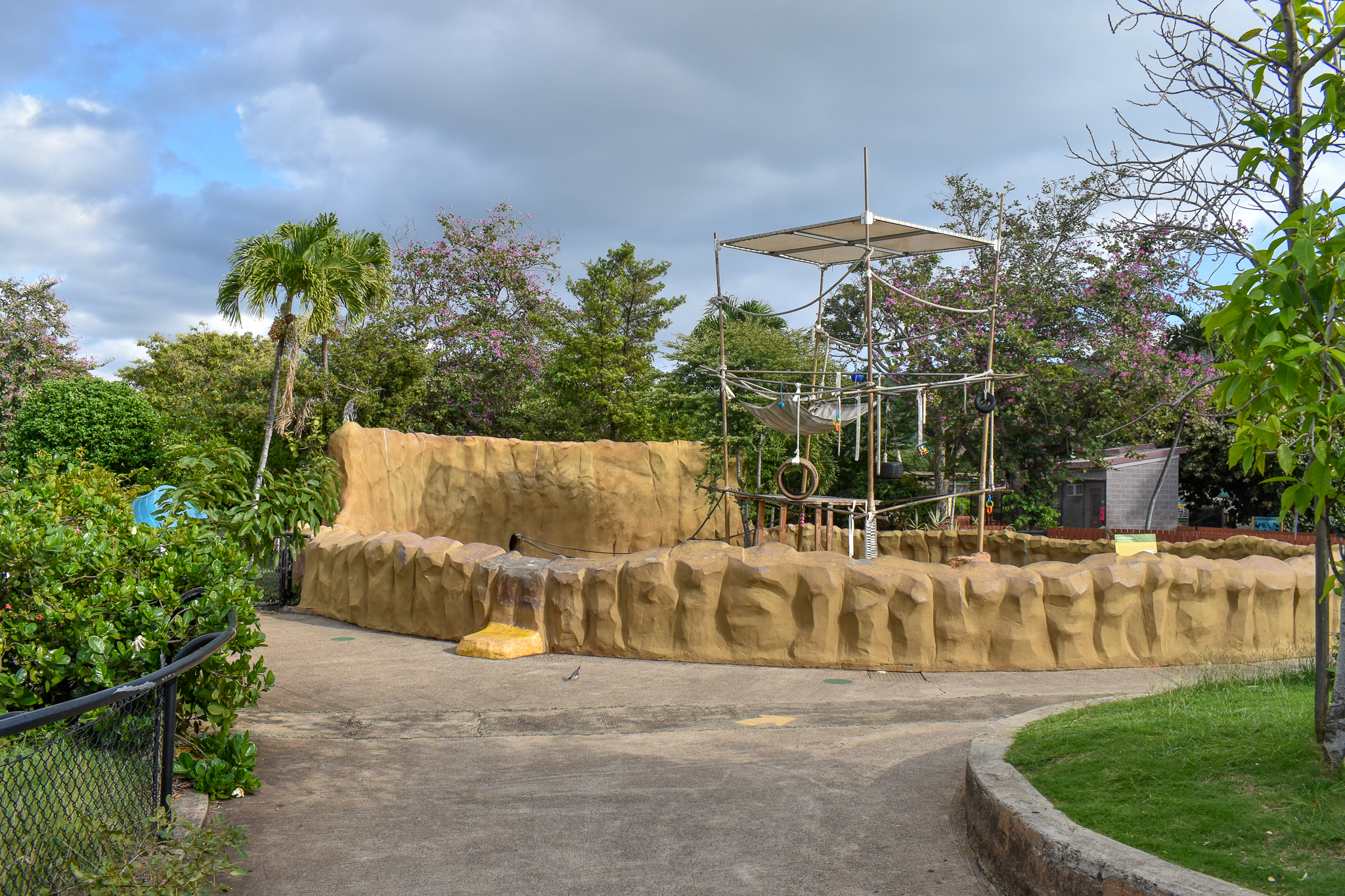 Siamang enclosure