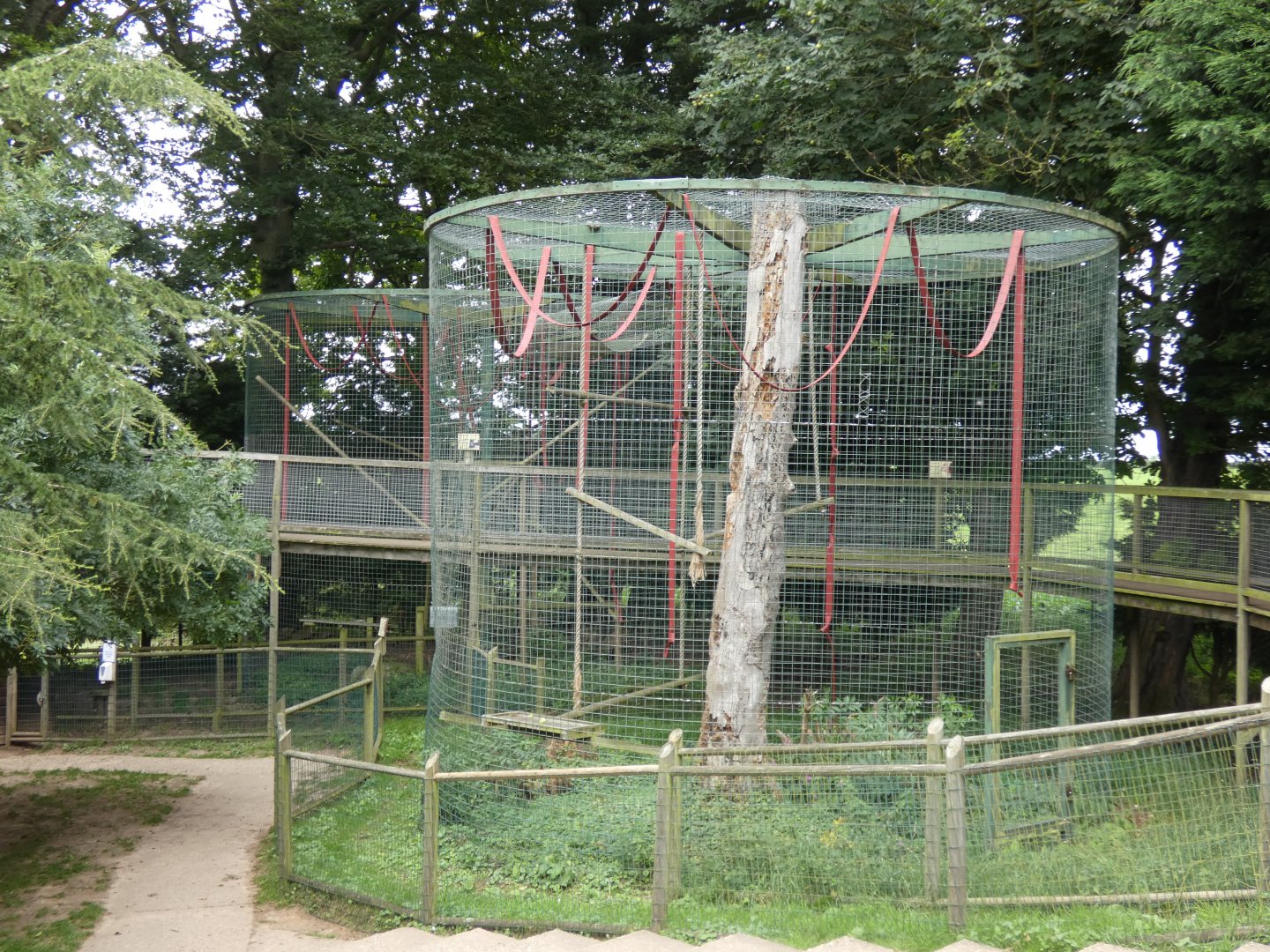 Siamang enclosures