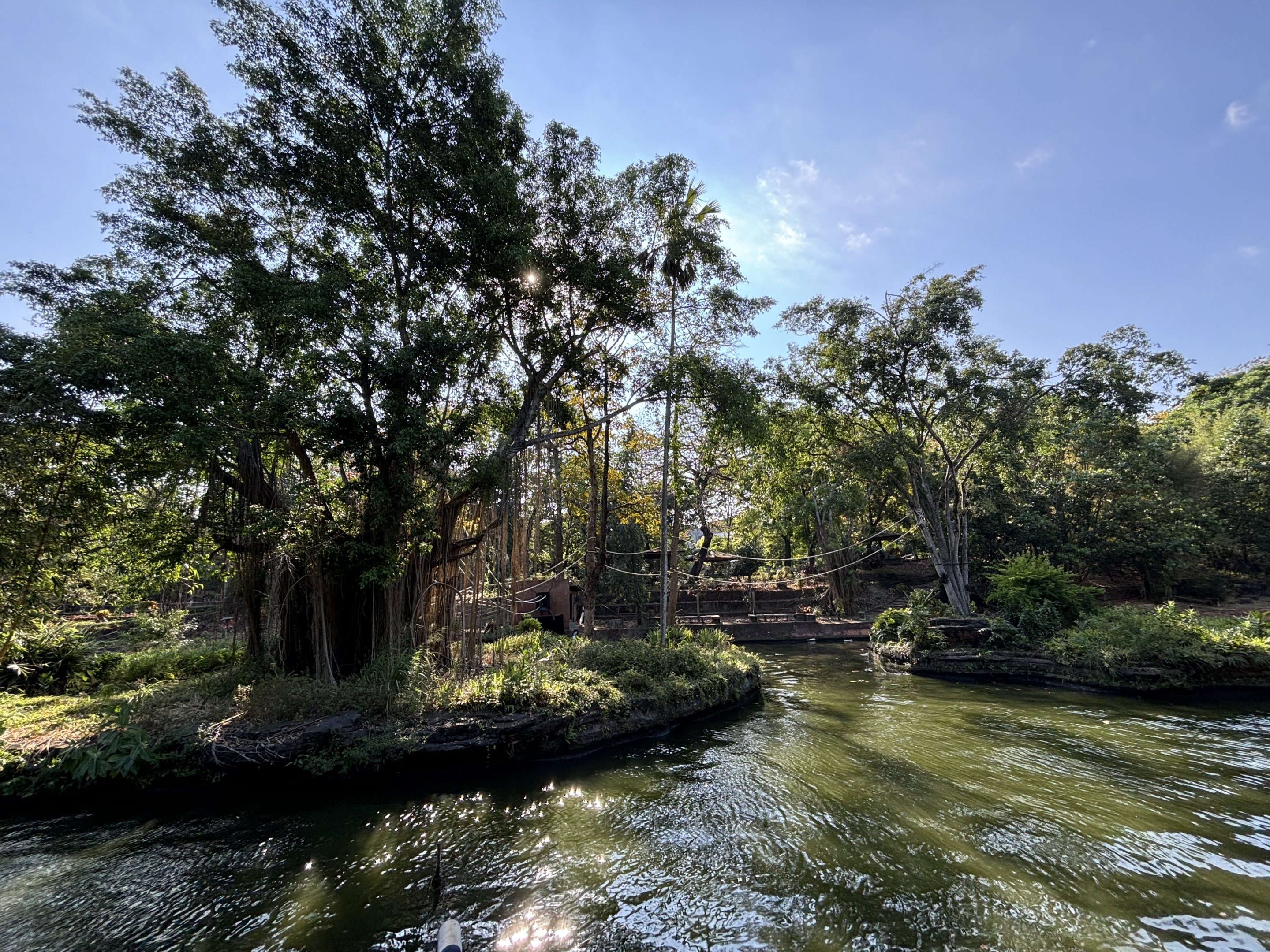 Siamang Exhibit - 2 islands
