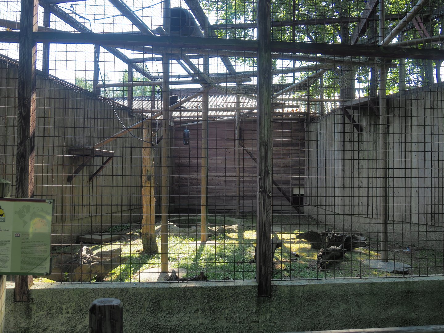 Siamang exhibit, 2023-06-24