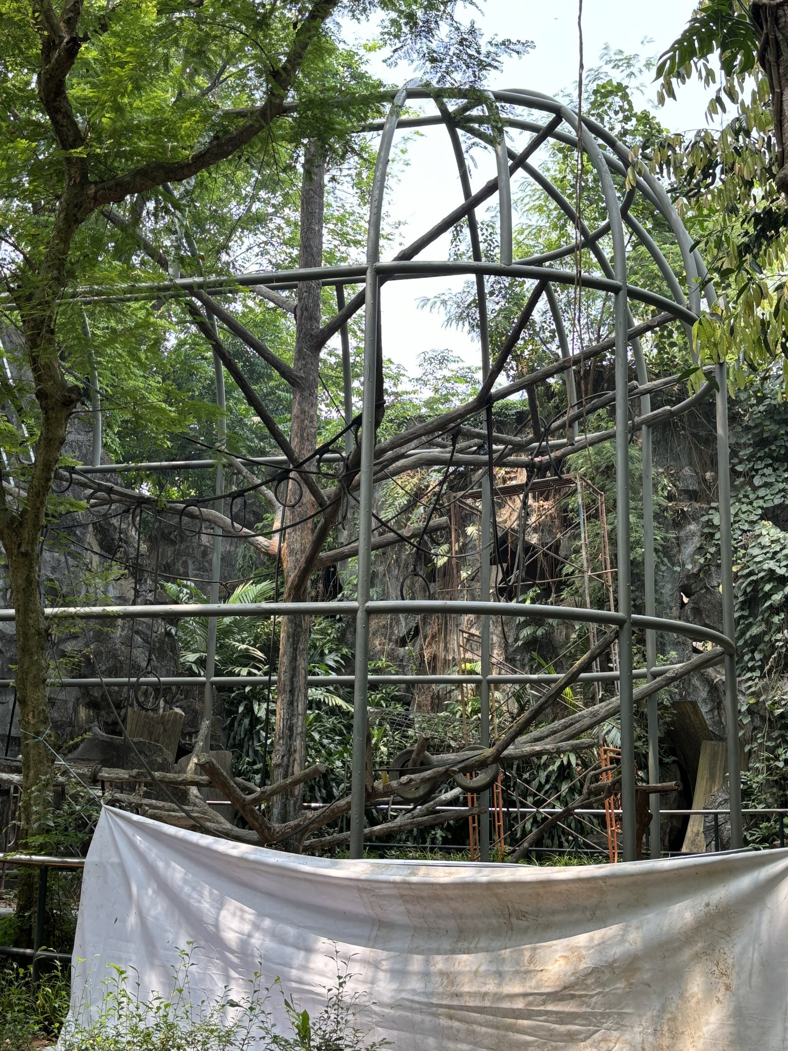 Siamang Exhibit #5 - under renovation