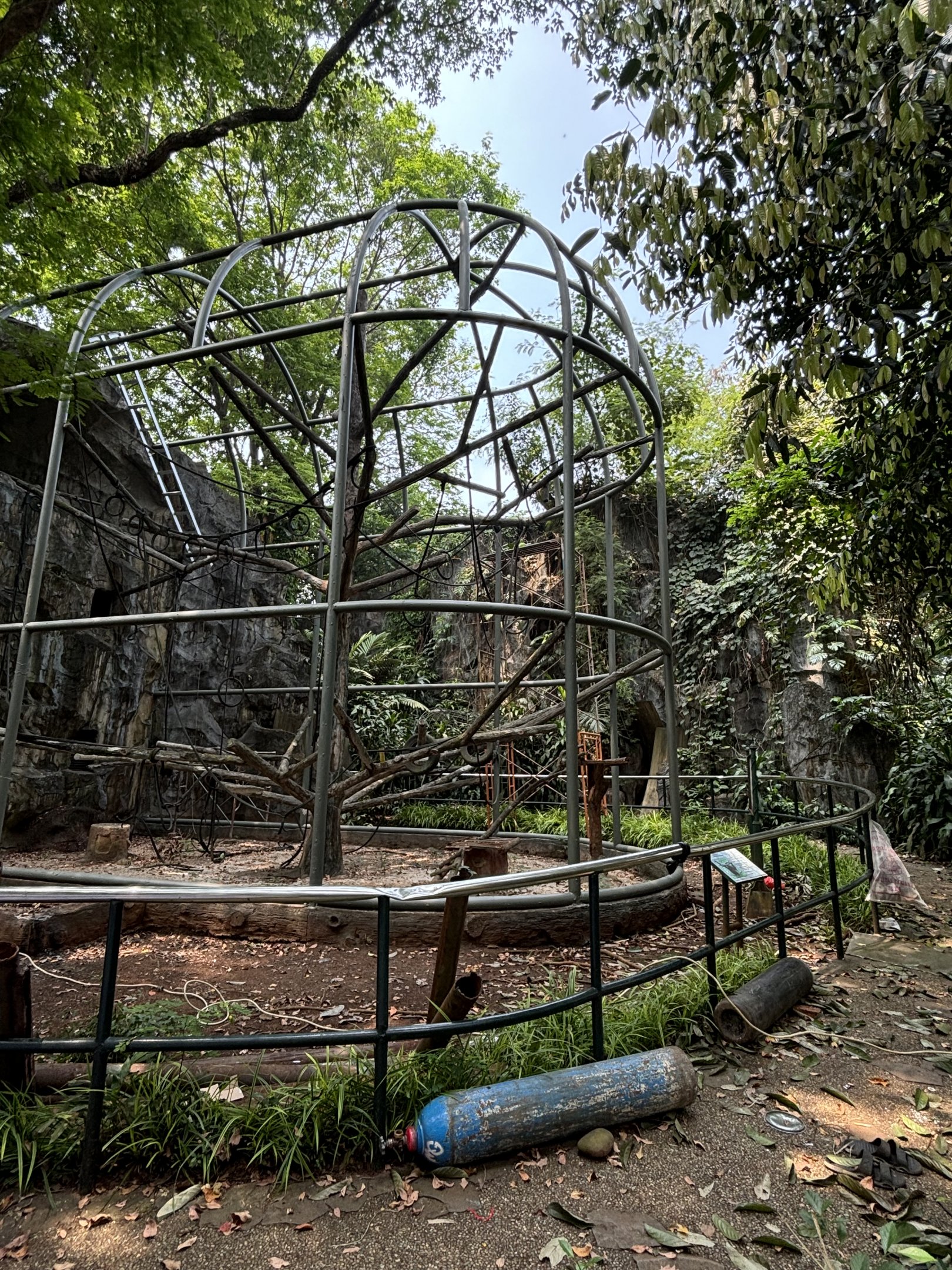 Siamang Exhibit #5 - under renovation