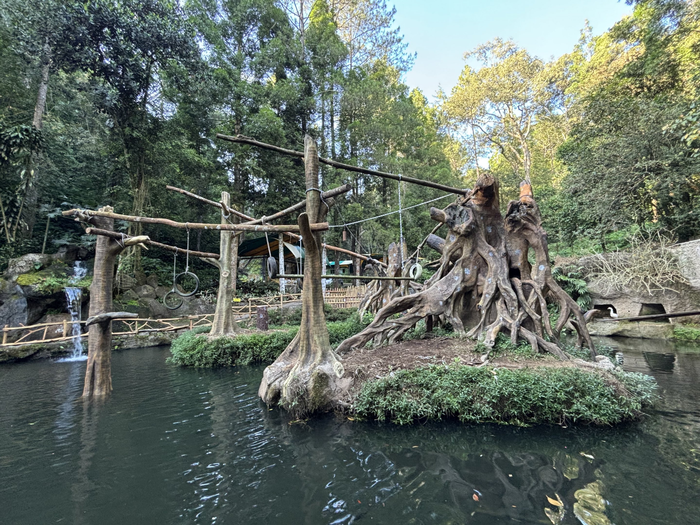 Siamang Exhibit - currently empty
