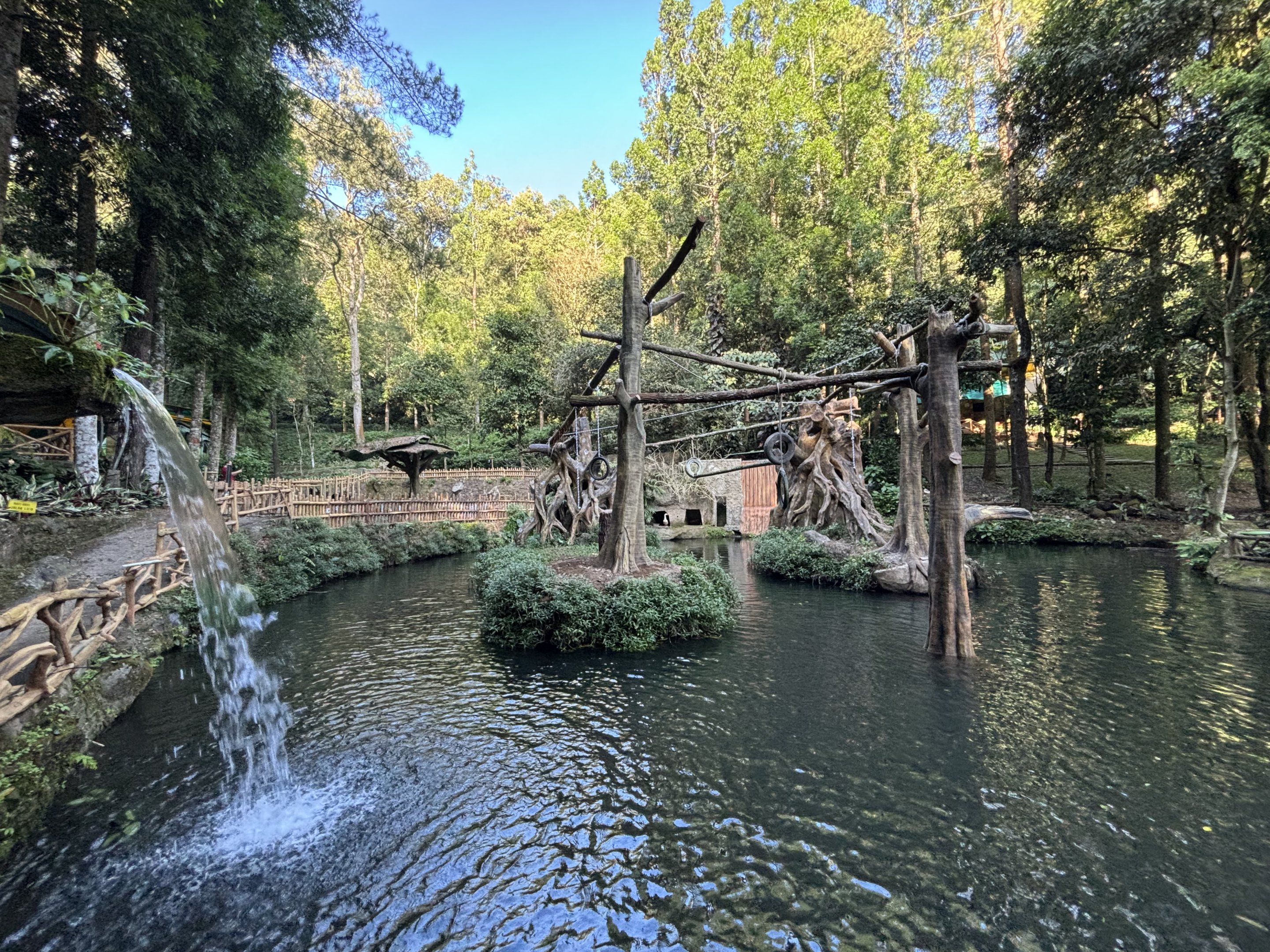 Siamang Exhibit - currently empty
