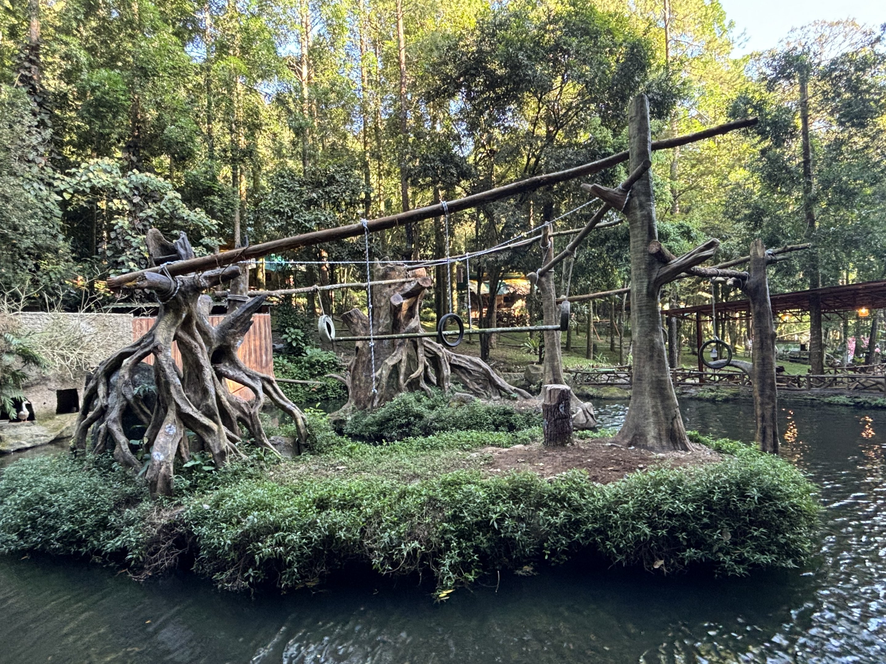 Siamang Exhibit - currently empty