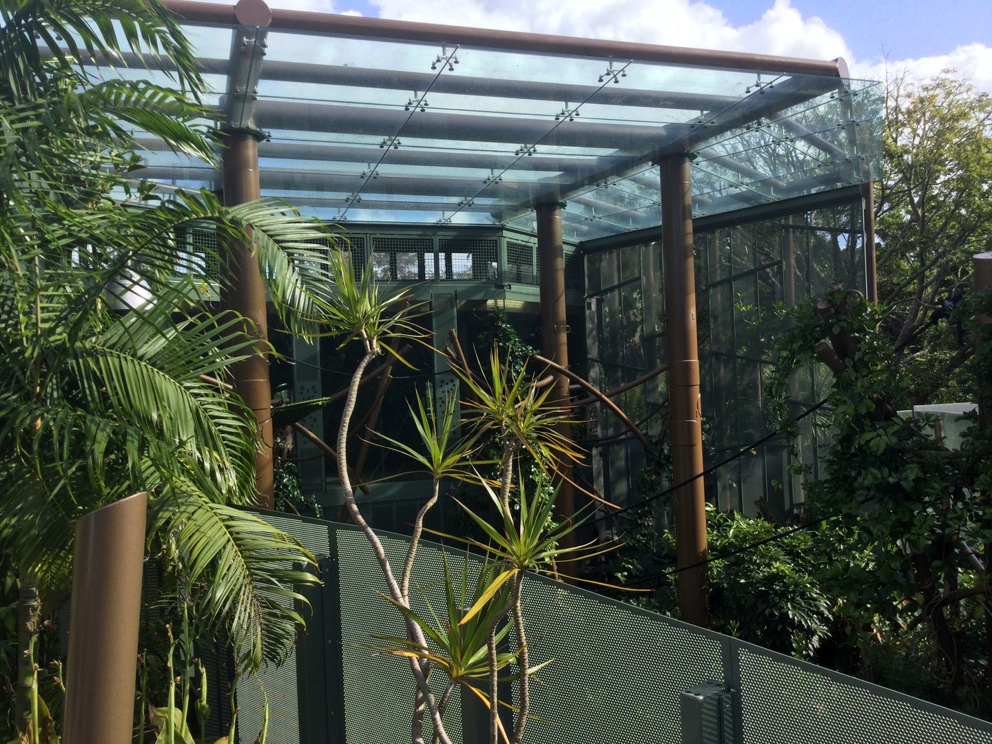 Siamang Exhibit (Overhead Shelter/Viewing Platform)